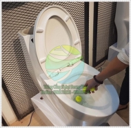 Xử lý bồn cầu bị nghẹt nhanh chóng chỉ với 20 phút