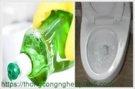 Thông bồn cầu bằng nước rửa bát dễ dàng