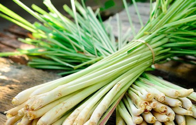 Sử dụng sả